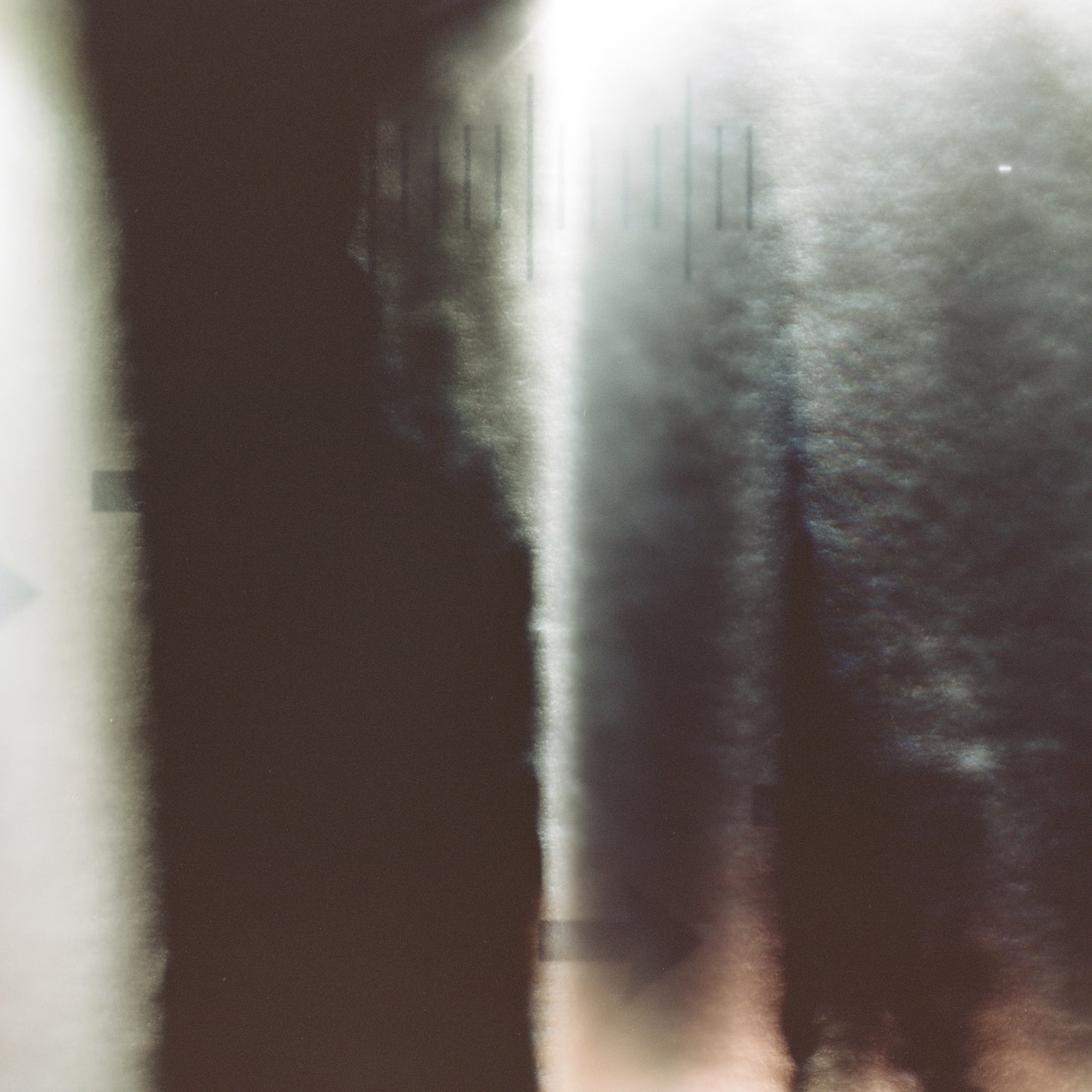 vvunder-vision graphic